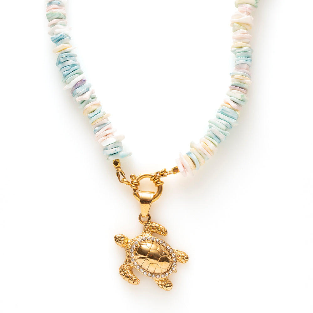 Turtle Treasure Deluxe - Bedel