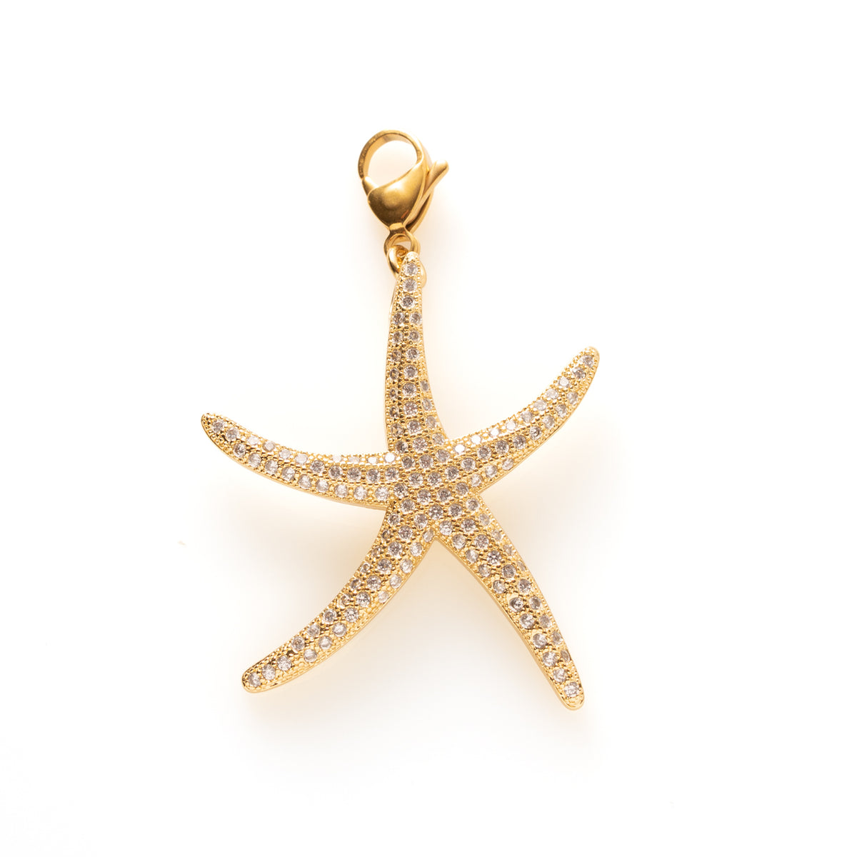 Radiant Starfish - Bedel