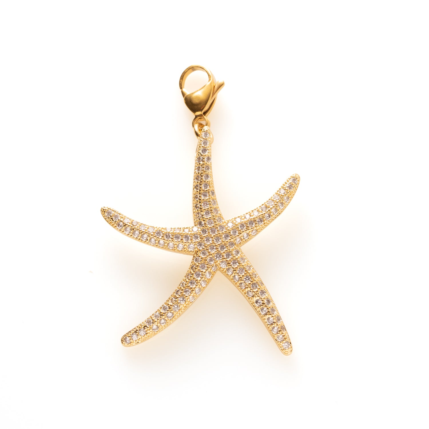 Radiant Starfish - Bedel
