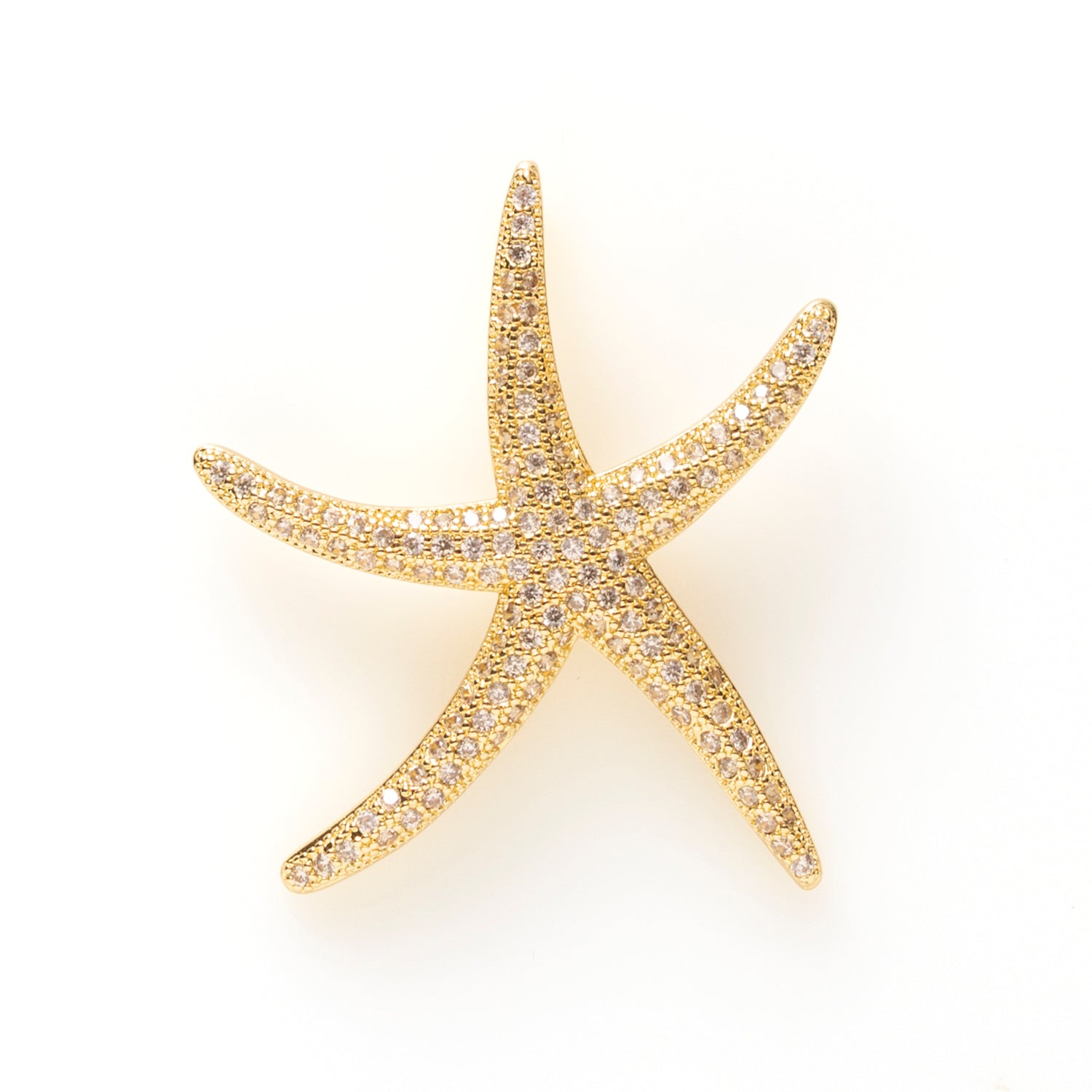 Radiant Starfish - Bedel