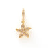 De Starfish Sparkle is een vrolijke one piece oorbel die direct een zomers gevoel oproept. De subtiele zeester is verfijnd afgewerkt met sprankelende zirkonia steentjes, waardoor er een zachte sparkle ontstaat bij elke beweging.

Deze oorbel is lief, speels en beachy tegelijk, perfect om je look net dat beetje extra fun te geven. Of je nu naar het strand gaat, een festival hebt of gewoon zin hebt in een zomerse touch: deze oorbel brengt instant sunshine vibes.
